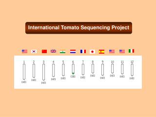International Tomato Sequencing Project