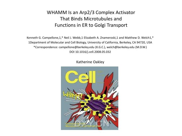 whamm is an arp2 3 complex activator that binds microtubules and functions in er to golgi transport