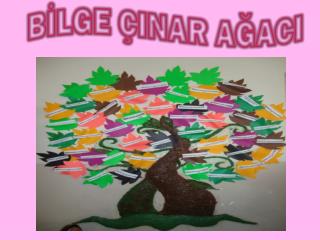 b lge inar a aci