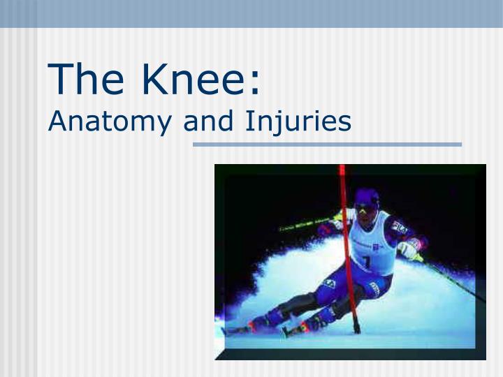 the knee anatomy and injuries