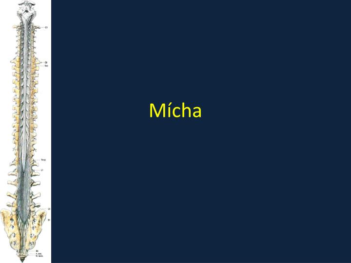 m cha