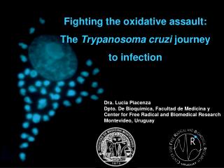 Fighting the oxidative assault: The Trypanosoma cruzi journey to infection