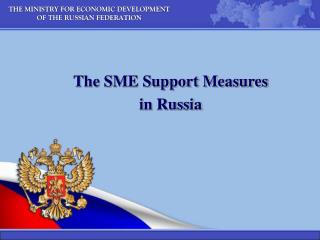 THE MINISTRY FOR ECONOMIC DEVELOPMENT OF THE RUSSIAN FEDERATION