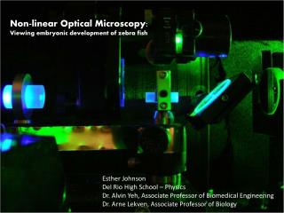 Non-linear Optical Microscopy: Viewing embryonic development of zebra fish