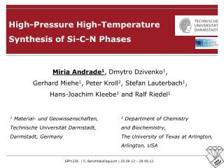 High-Pressure High-Temperature Synthesis of Si-C-N Phases