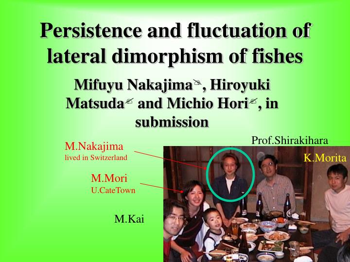 persistence and fluctuation of lateral dimorphism of fishes