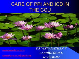 CARE OF PPI AND ICD IN THE CCU