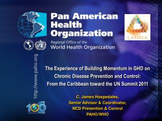The Experience of Building Momentum in GHD on Chronic Disease Prevention and Control: