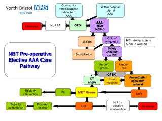NBT Pre-operative Elective AAA Care Pathway