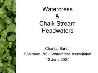 Watercress &amp; Chalk Stream Headwaters