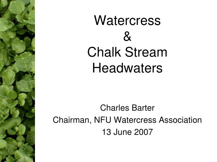 watercress chalk stream headwaters