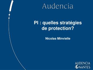 pi quelles strat gies de protection nicolas minvielle