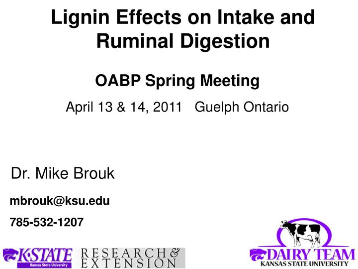 lignin effects on intake and ruminal digestion