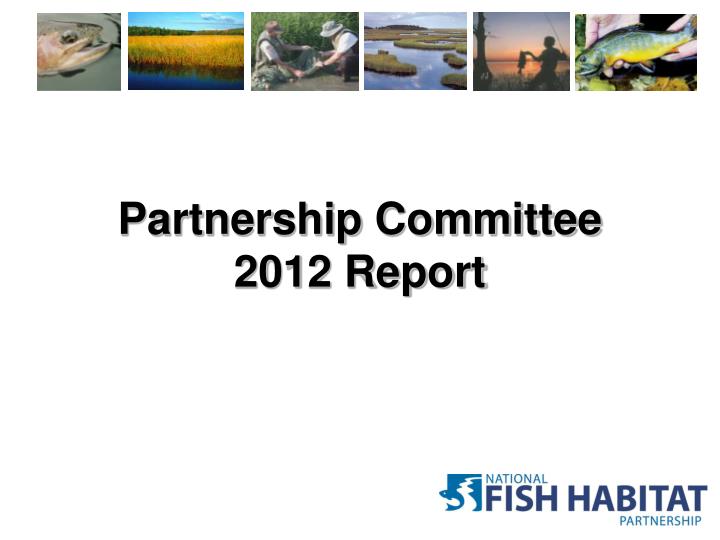 partnership committee 2012 report