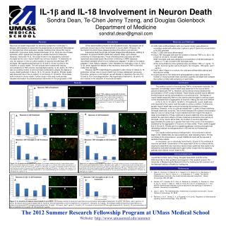 The 2012 Summer Research Fellowship Program at UMass Medical School