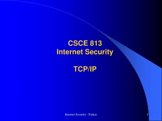 CSCE 813 Internet Security TCP/IP