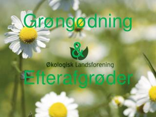 Grøngødning &amp; Efterafgrøder