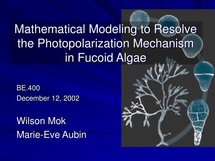 mathematical modeling to resolve the photopolarization mechanism in fucoid algae
