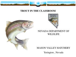 TROUT IN THE CLASSROOM