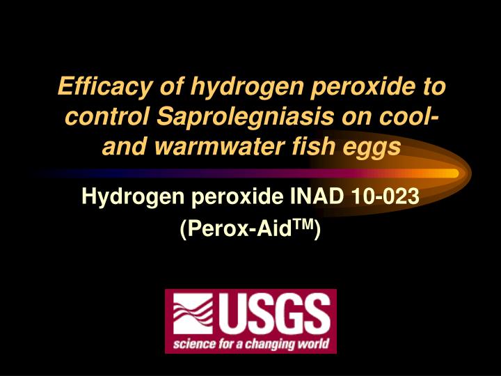 efficacy of hydrogen peroxide to control saprolegniasis on cool and warmwater fish eggs