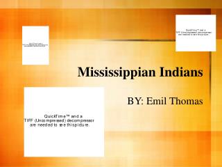 Mississippian Indians