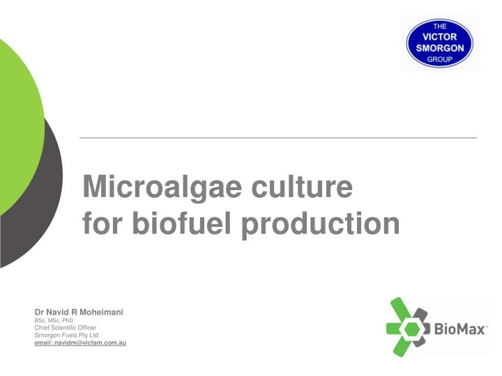 microalgae culture for biofuel production