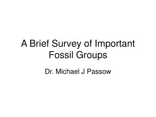 A Brief Survey of Important Fossil Groups