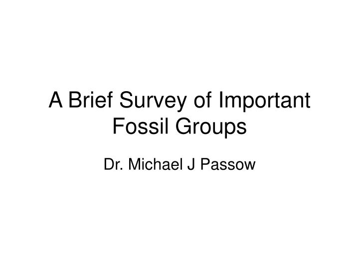 a brief survey of important fossil groups