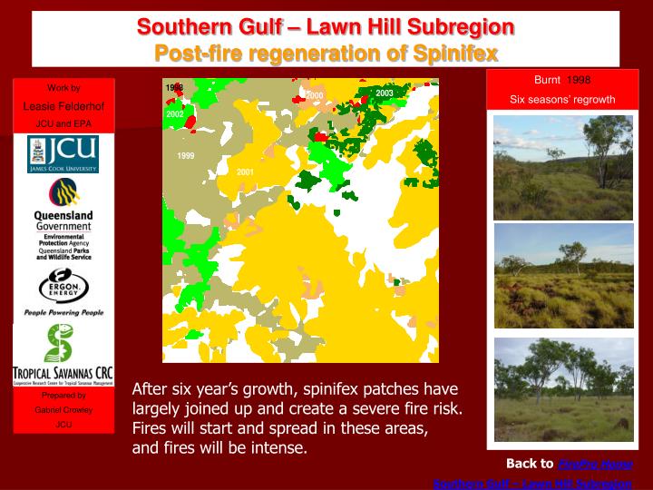 southern gulf lawn hill subregion post fire regeneration of spinifex