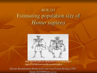 BCB 241 Estimating population size of Homo sapiens
