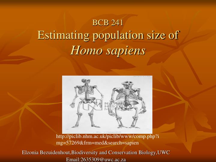 bcb 241 estimating population size of homo sapiens