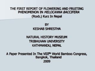 THE FIRST REPORT OF FLOWERING AND FRUITING PHENOMENON IN MELOCANNA BACCIFERA