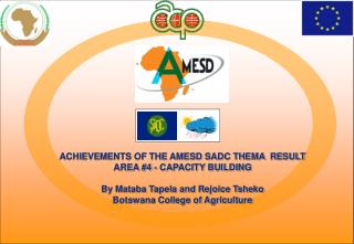 ACHIEVEMENTS OF THE AMESD SADC THEMA RESULT AREA #4 - CAPACITY BUILDING
