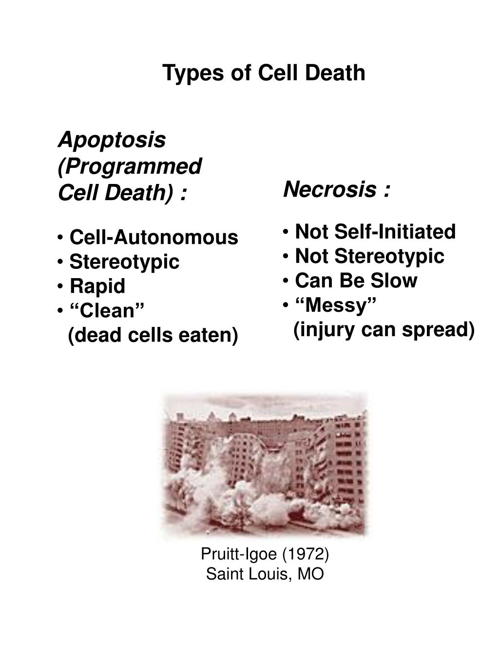 PPT - Types of Cell Death PowerPoint Presentation, free download - ID ...