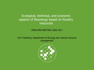 Ecological, technical, and economic aspects of Bioenergy based on forestry resources