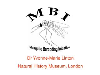 Dr Yvonne-Marie Linton Natural History Museum, London