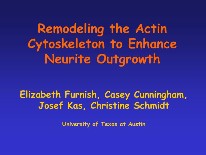 remodeling the actin cytoskeleton to enhance neurite outgrowth