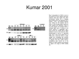 Kumar 2001