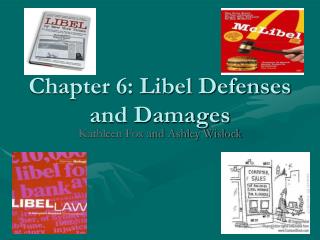 Chapter 6: Libel Defenses and Damages