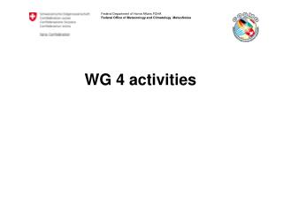 WG 4 activities