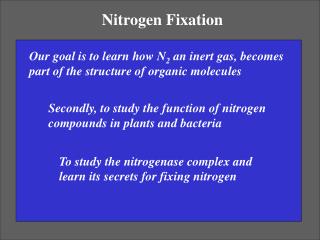 Nitrogen Fixation