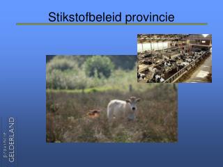 stikstofbeleid provincie