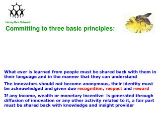 Committing to three basic principles: