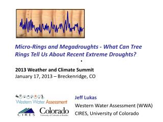 Micro-Rings and Megadroughts - What Can Tree Rings Tell Us About Recent Extreme Droughts?