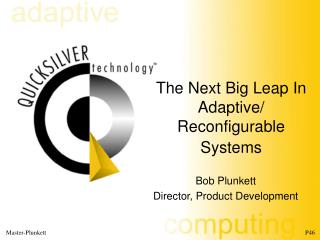The Next Big Leap In Adaptive/ Reconfigurable Systems