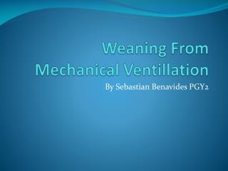 Weaning From Mechanical Ventillation