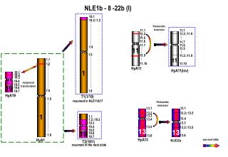 NLE1b - 8 -22b (I)