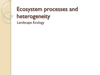 Ecosystem processes and heterogeneity