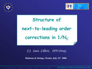Structure of next-to-leading order corrections in 1/N C
