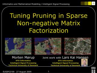 Tuning Pruning in Sparse Non-negative Matrix Factorization